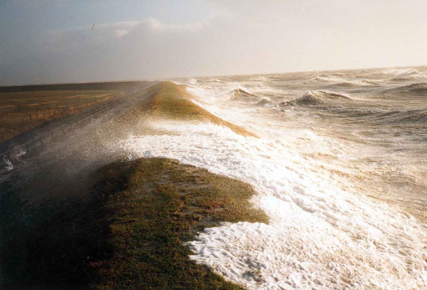 SF1981hochwasser morsum1 gross