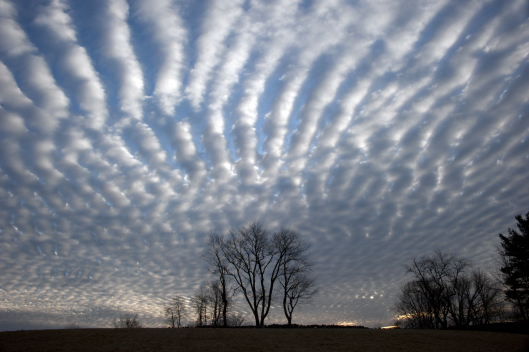 altocumulus